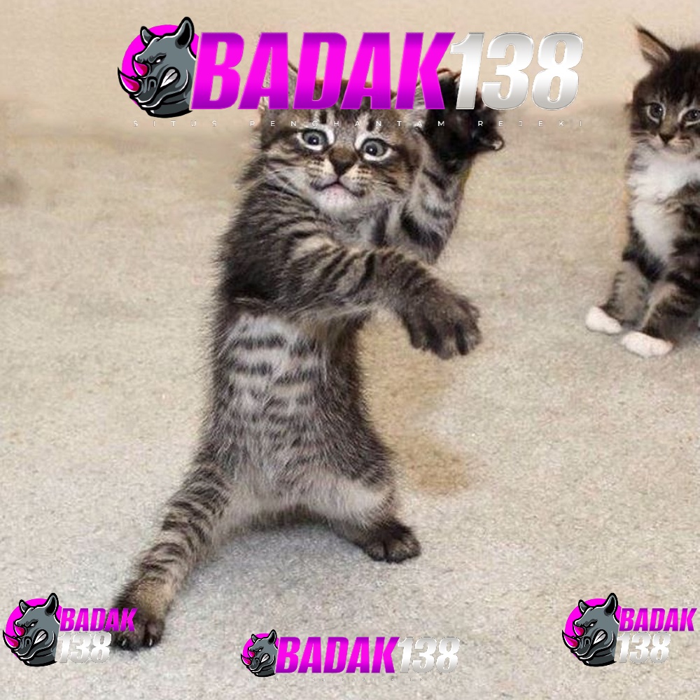 BADAK138